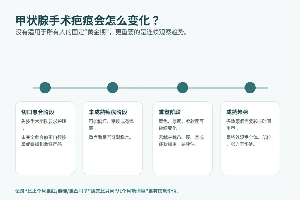 甲状腺手术疤痕从切口愈合到瘢痕重塑和成熟趋势的时间线示意图