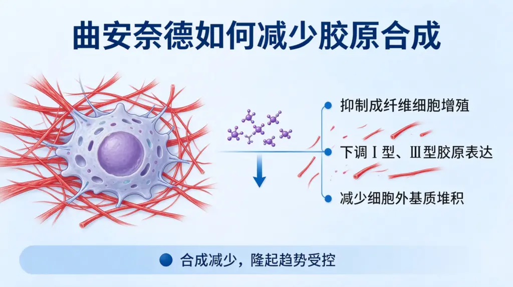 疤痕增生受体质、感染、张力、缝合技术等多因素影响